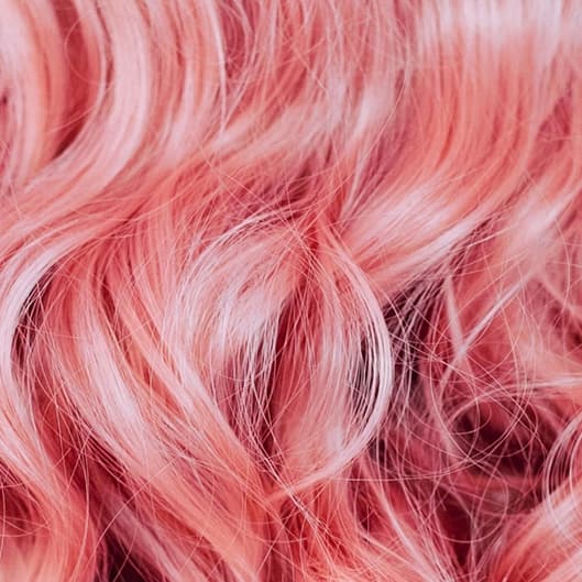 WEEKLY BLOWOUT at Sara Strands Co. in Boerne, TX